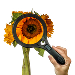 Lume Series Aspheric COB LED Lighted Hand-Held Magnifier with 7x Spot Lens and Two Brightness Settings