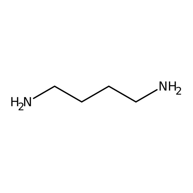 1,4-Diaminobutane, 98+%, Thermo Scientific Chemicals