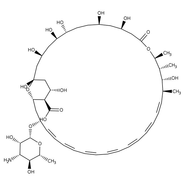 Amphotericin B, 250 &mu;g/mL in distilled water, sterile-filtered