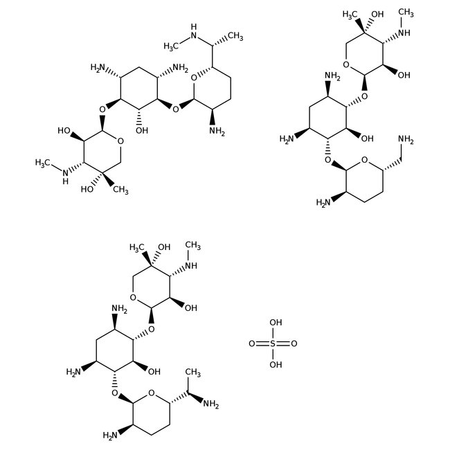 Gentamycin Sulfate (White Powder), Fisher BioReagents
