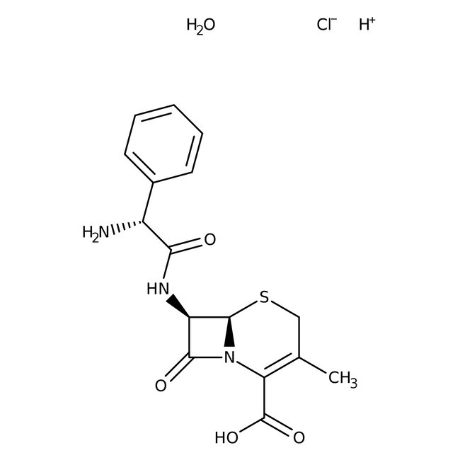Cephalexin hydrate, 97+%, Thermo Scientific Chemicals