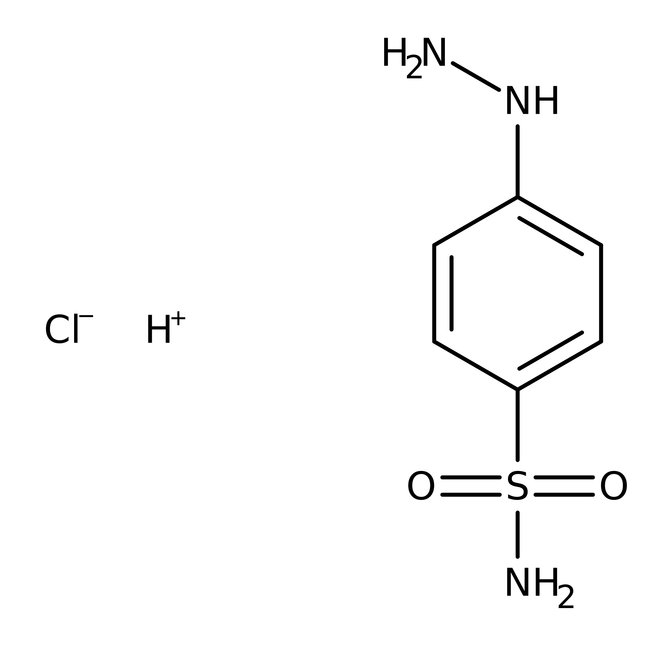 4-Sulfonamidophenylhydrazine hydrochloride, 97%, Thermo Scientific Chemicals