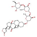Digoxin, 96%, Thermo Scientific Chemicals