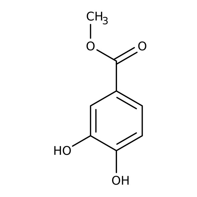 Methyl 3,4-dihydroxybenzoate, 97%, Thermo Scientific Chemicals