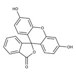 Fluorescein