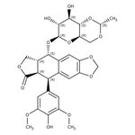 Etoposide, Thermo Scientific Chemicals