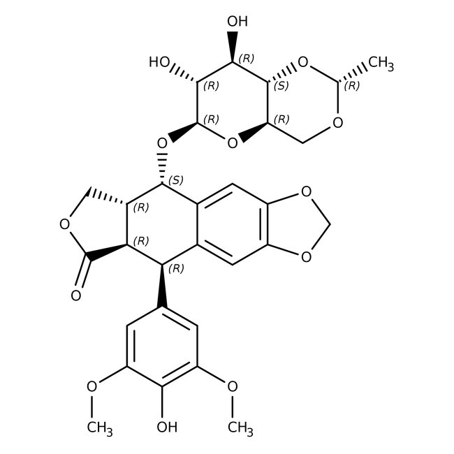 Etoposide, Thermo Scientific Chemicals