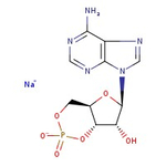 Adenosine-3',5'-cyclic monophosphate sodium salt, 99%