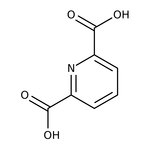 Pyridine-2,6-dicarboxylic acid, 98%, Thermo Scientific Chemicals