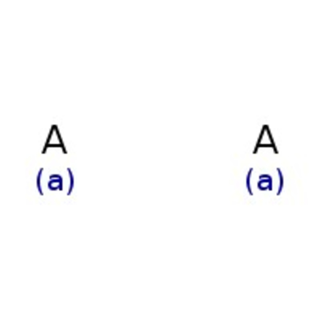 Phosphomolybdic acid, 20 wt.% solution in ethanol, Thermo Scientific Chemicals