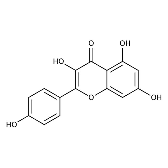 Kaempferol, 98+%, Thermo Scientific Chemicals