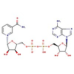 &beta;-Nicotinamide adenine dinucleotide hydrate, 98+%, Thermo Scientific Chemicals