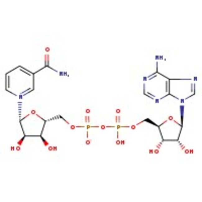 &beta;-Nicotinamide adenine dinucleotide hydrate, 98+%, Thermo Scientific Chemicals