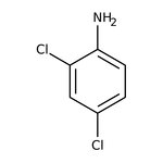 2,4-Dichloroaniline, 99%, Thermo Scientific Chemicals