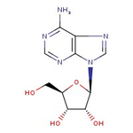 Adenosine, 99%