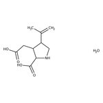 Kainic acid monohydrate, 96%