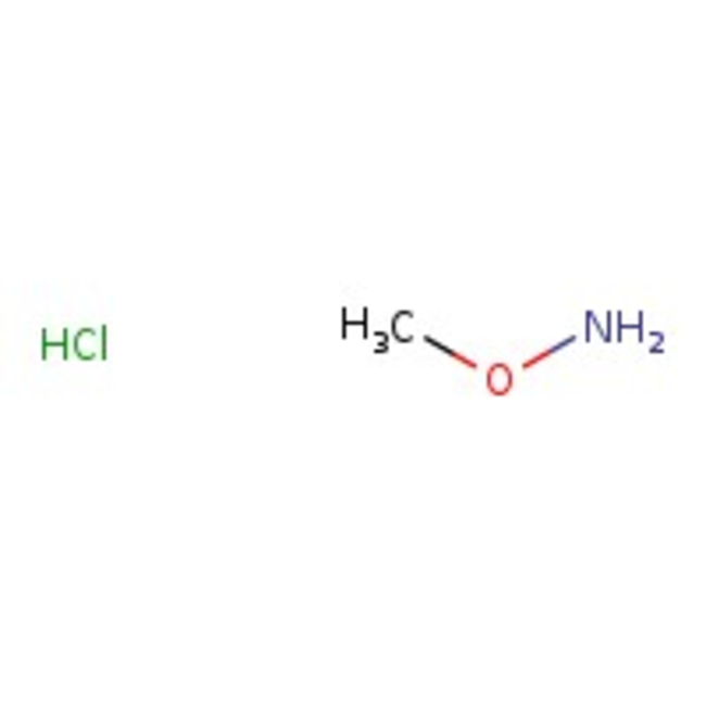 Methoxylamine hydrochloride, 98+%, Thermo Scientific Chemicals