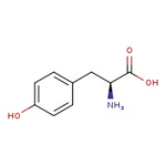L-Tyrosine, 99%