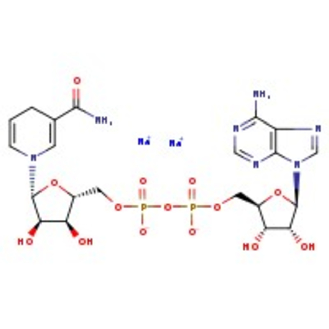 beta-Nicotinamide adenine dinucleotide reduced disodium salt, 97%, Thermo Scientific Chemicals