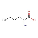 DL-Norleucine, 98%, Thermo Scientific Chemicals