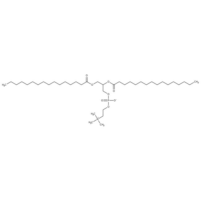 L-alpha-Dipalmitoyl phosphatidylcholine, 98%, Thermo Scientific Chemicals