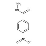 4-Nitrobenzhydrazide, 98+%, Thermo Scientific Chemicals