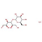 D-(+)-Maltose Monohydrate, Fisher BioReagents