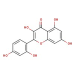 Morin hydrate, Thermo Scientific Chemicals