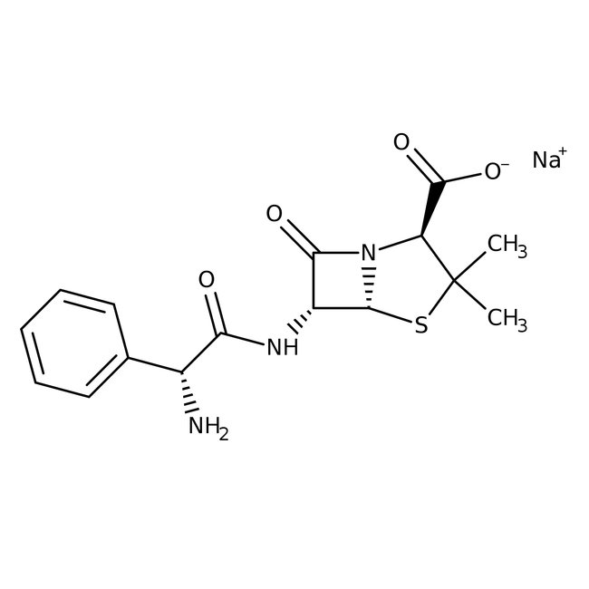 Ampicillin sodium salt, Thermo Scientific Chemicals