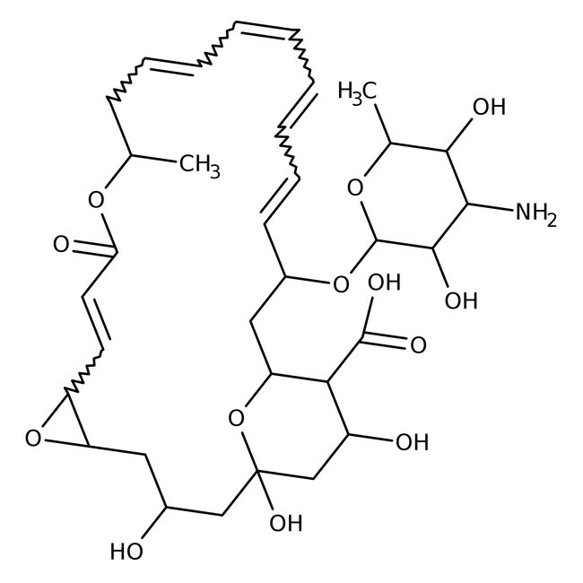 Natamycin, 95%, Thermo Scientific Chemicals