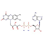 Flavin adenine dinucleotide disodium salt