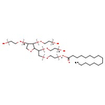 Polysorbate 40, Thermo Scientific Chemicals