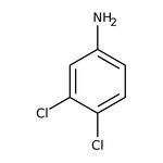 3,4-Dichloroaniline, 98%, Thermo Scientific Chemicals
