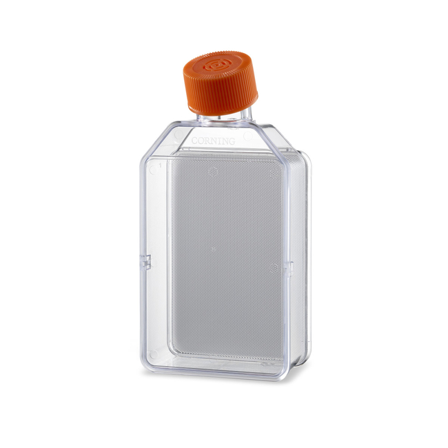 Elplasia&trade; 12K Flask