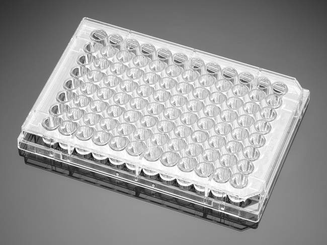 96-Well, Cell Culture-Treated, Flat-Bottom Microplate