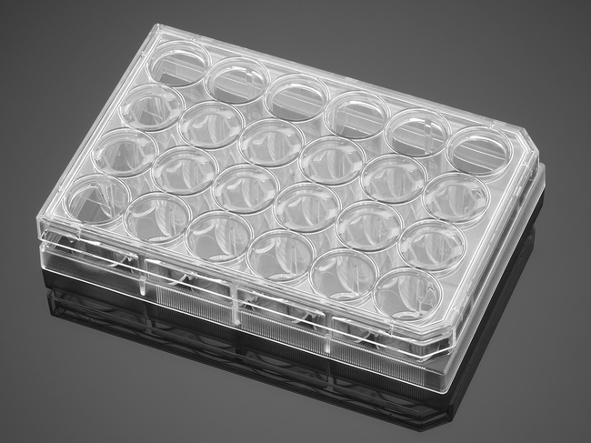 Polystyrene Microplates