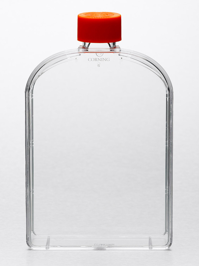 Cell Culture Treated Flasks