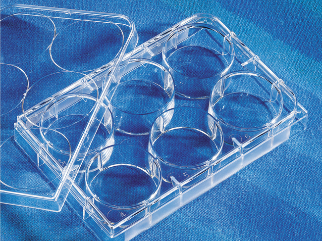 Costar&trade; 6-well Clear TC-treated Multiple Well Plates, Individually Wrapped, Sterile