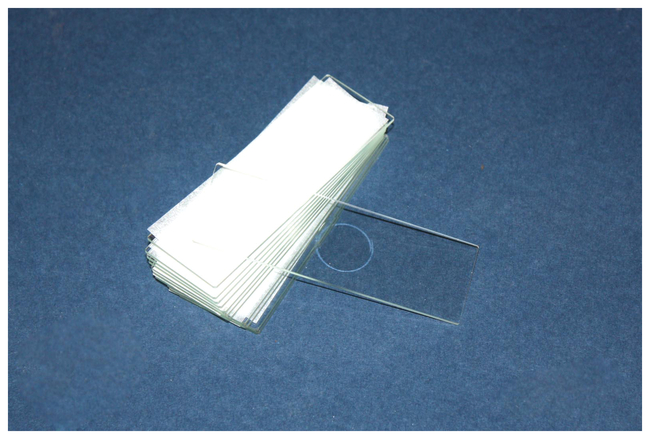 Microslides Single Cavity Dozen Pack