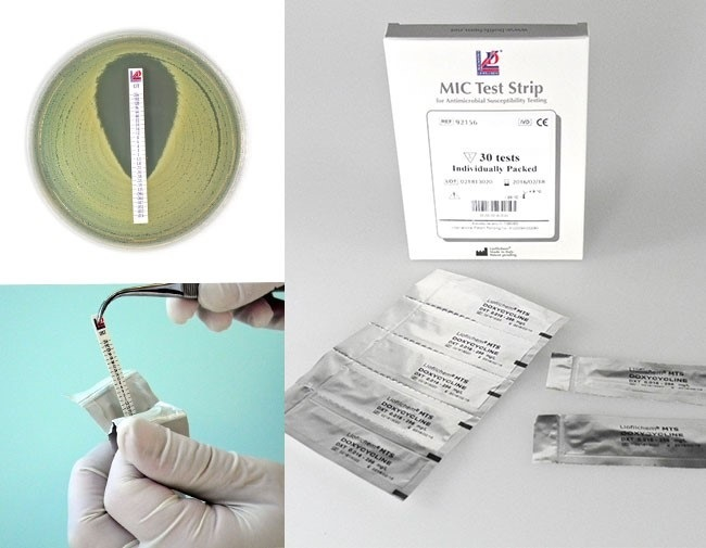 MTS&trade; Gentamicin [CN] 0.016-256 &mu;g/mL