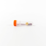 Lysing Matrix A, 2 mL Tubes