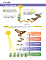 Food Chains and Food Webs Student Learning Guide with Online Lesson