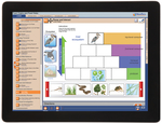 Food Chains and Food Webs Student Learning Guide with Online Lesson