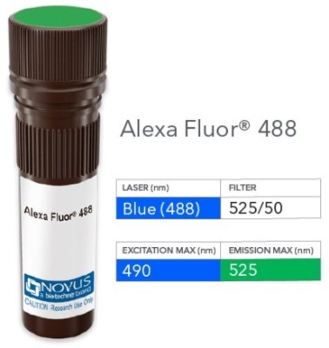 TAFA3/FAM19A3 Antibody (460904), Alexa Fluor&trade; 488, Novus Biologicals&trade;