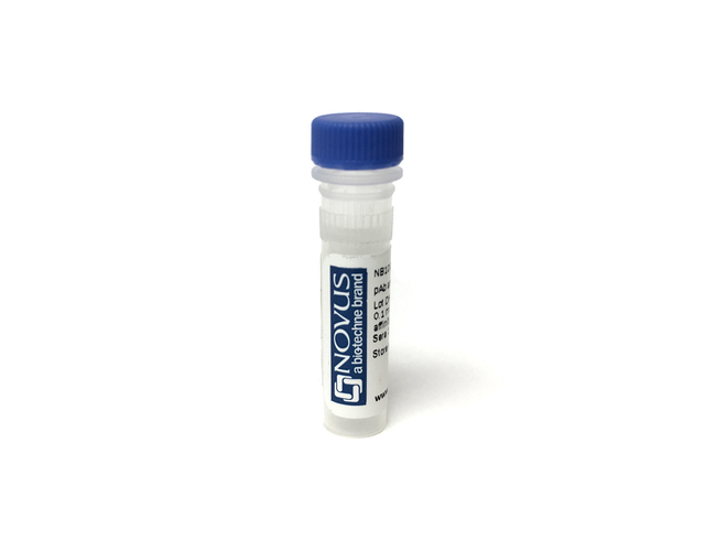 CD79B Antibody (iladatuzumAb) - Humanized, Novus Biologicals&trade;