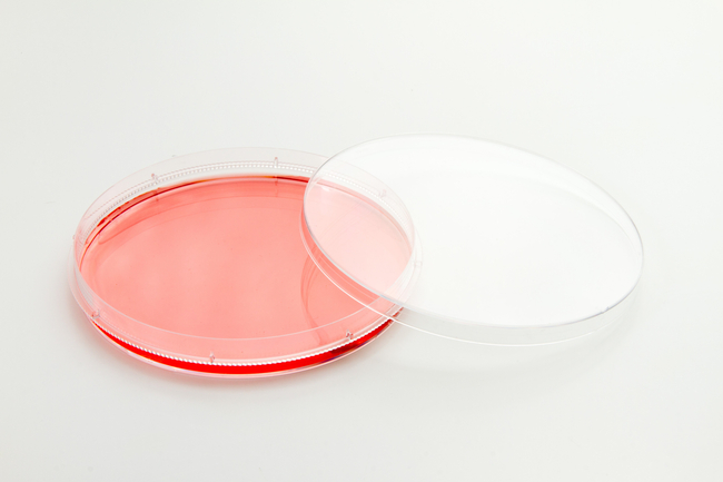 Nunc&trade; EasYDish&trade; Dishes