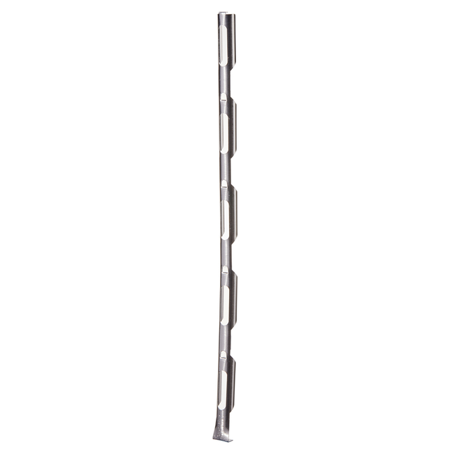 Storage Canes