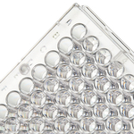 Clear Flat-Bottom Immuno Nonsterile 96-Well Plates