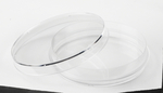 Surface Treated Tissue Culture Dishes