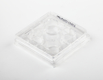 Surface Treated SterileTissue Culture Plates